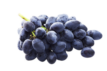 Branch of blue grapes isolated on the white