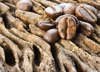Coffee beans on wood background