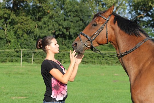 junge Frau beruhigt ihr Pferd