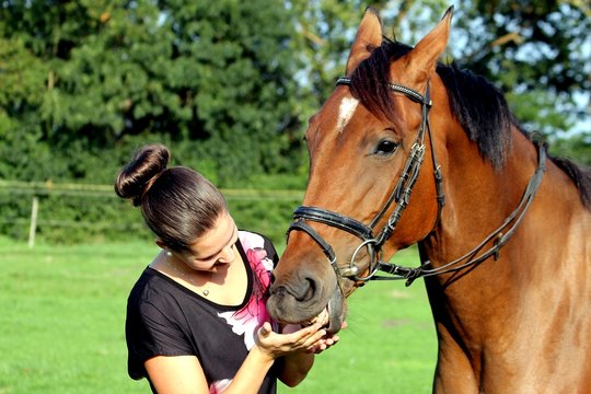 Liebe zum Pferd