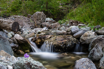 Eau calme en montagne
