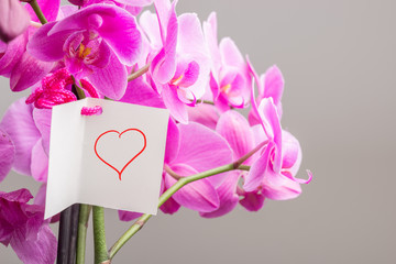 Card with Hand Drawn Heart Tied to Orchid Plant
