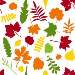 Leaves on seamless background
