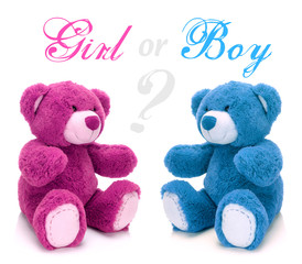 Pink and blue teddy bear on a white background © bluebat
