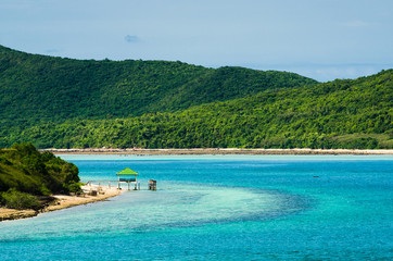 Green island and sea nature landscape