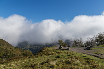 Fototapeta premium brume matinale sur les Vosges