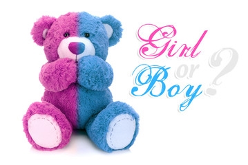 Is it a boy or a girl teddy bear? - obrazy, fototapety, plakaty