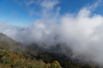 brume matinale sur les Vosges