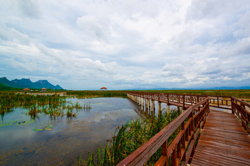 Wooden pavilion and wooden bridge in lotus lake, Samroiyod natio