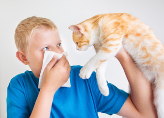 A boy with cat allergy - obrazy, fototapety, plakaty