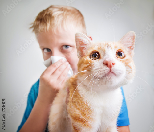 От аллергии на кошек
