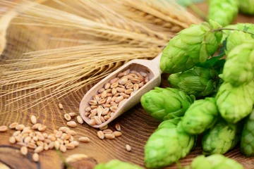 Hopfen, Getreide © Printemps