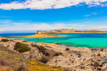 Acrylic prints La Pelosa Beach, Sardinia, Italy La Pelosa beach view with beautiful azure colored water 