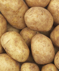 Potato