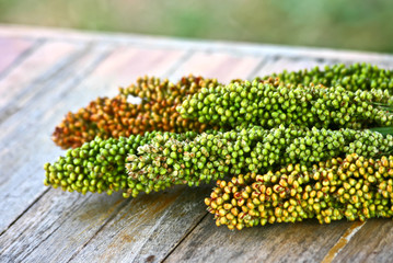 sorghum on wood table