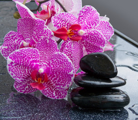 zen basalt stones and orchid 