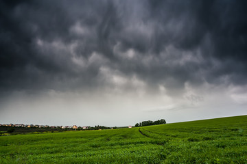 Naklejka premium field