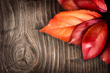 Naklejka na ściany i meble Autumn background. Colorful leaves on a wooden background