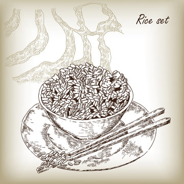 Rice set. Rice porridge, rice field hand drawn vector