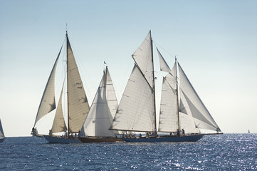 Ancient sailing boat during a regatta at the Panerai Classic Yac