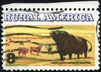 stamp printed in the USA shows Angus and Longhorn Cattle