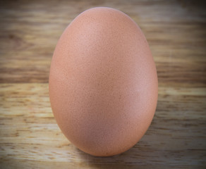 A Chicken Egg