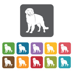 Obraz premium Golden retriever icon. Dog icons set. Rectangle colourful 12 but