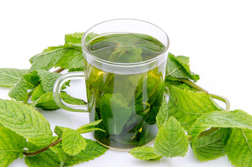 Cup of mint tea in the middle of fresh mint