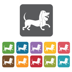 Daschund icon. Dog icons set. Rectangle colourful 12 buttons. Ve