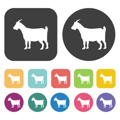 Goat icon. Farming icon set. Round and rectangle colourful 12 bu
