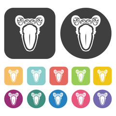Ovary icon. Human organ icons set. Round and rectangle colourful