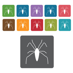 Spider icon. Insect icon set. Rectangle colourful 12 buttons. Ve