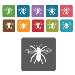 Bee icon. Insect icon set. Rectangle colourful 12 buttons. Vecto