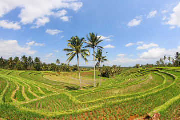 Indonésie 27