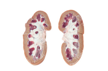 Pig kidney isolated on white with clipping path.