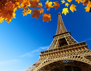 Eiffel tower in autumn time