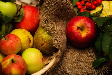 Thanksgiving day autumnal still life