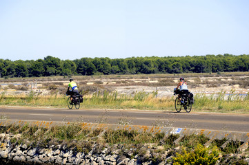 cyclists on the road Grau-du-Roi - obrazy, fototapety, plakaty
