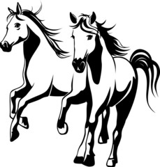 wild horses - black and white vector illustration