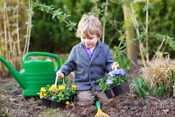 Little boy gardening and planting flowers in garden