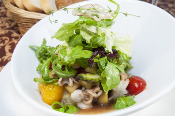 restaurant dish salad of octopus and greens and vegetables