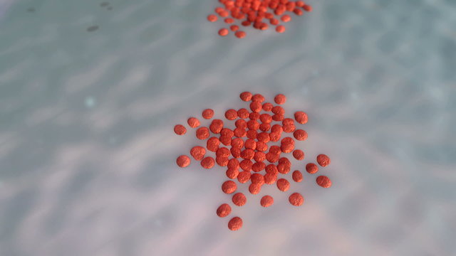 Beta cells