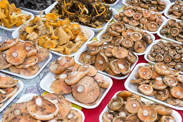 assorted mushrooms