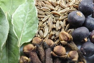 Lorbeer Kümmel Nelken und Wacholder im Detail