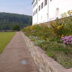 Wandeln im Schlosspark