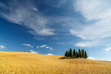 Typical scenery in Tuscany, Italy