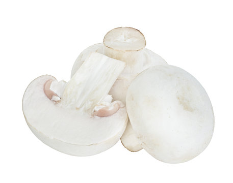Champignon mushrooms isolated on white background