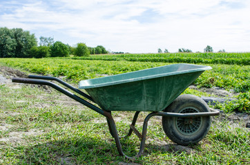 Green wheelbarrow