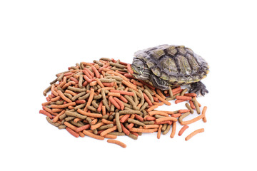 I'm hugry and all this is for me