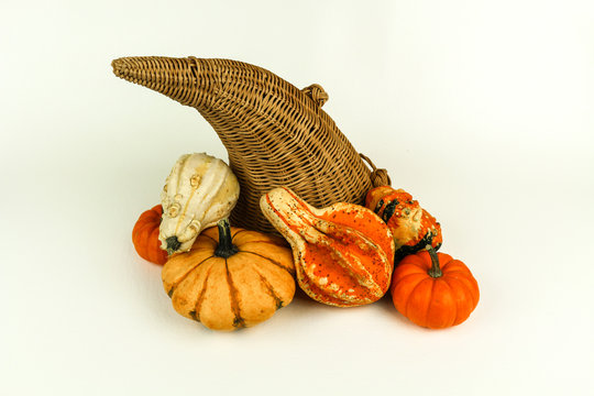 Cornucopia with Gourds and Pumpkins